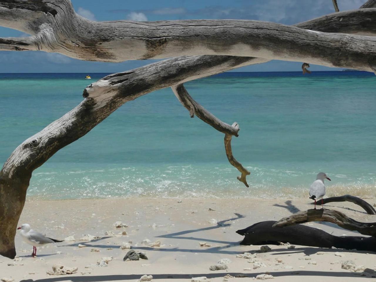 Hai Villa Port Douglas Kültér fotó